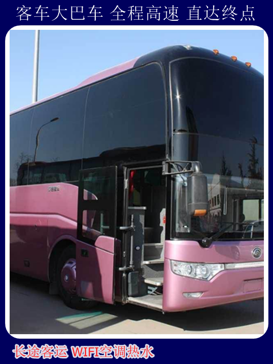 青岛到安阳汽车站司机长途大巴+宠物托运天天多班次发车