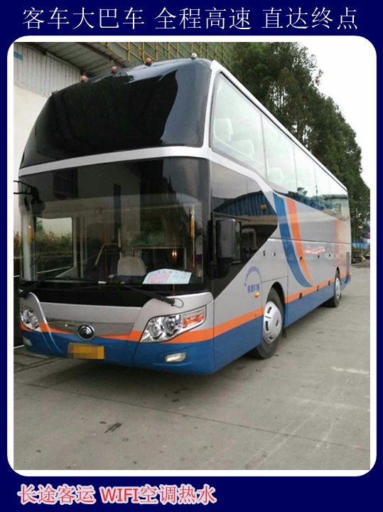 台到汝南大巴发车时刻表司机长途大巴+宠物托运天天多班次发车