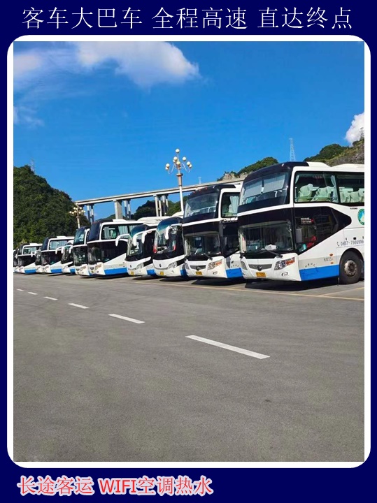 威海到开封大巴车随时咨询长途汽车+宠物托运天天多班次发车