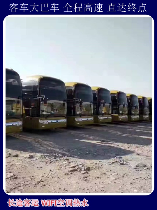 荣成到周口客车大巴诚信经营安全舒适+宠物托运天天多班次发车