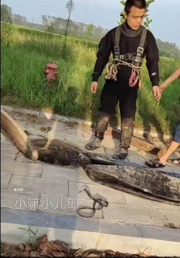 漳州龙文蛙人水下堵漏施工单位-线上咨询2026已更新