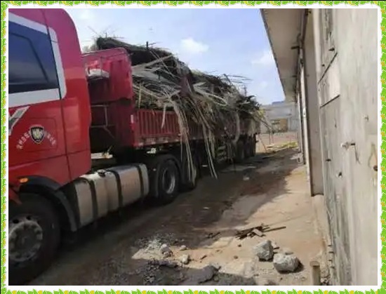 宝应保温棉清运固废处理与资源化