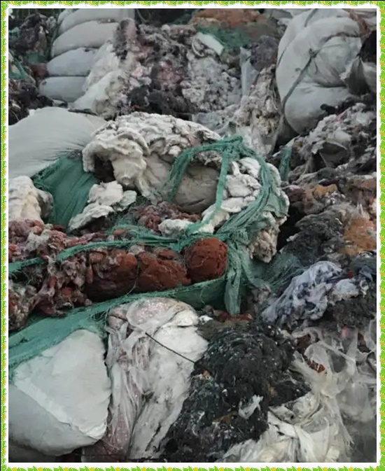 泰州兴化一般工业废弃物清运全面解决