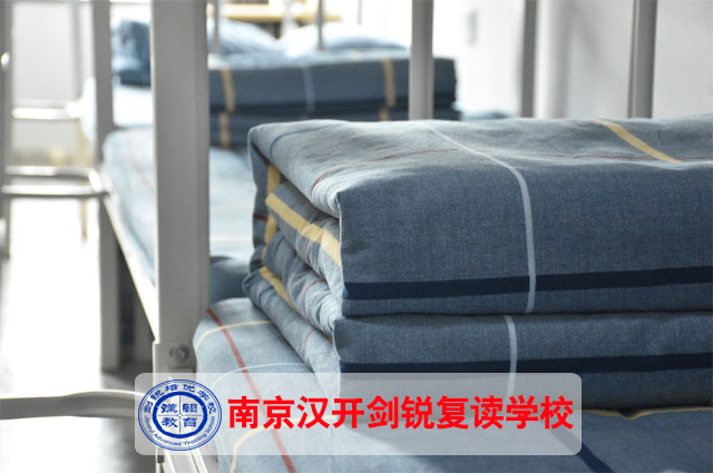 2026年【比较好的】南京市艺术生文化课复习计划<汉开艺术生文化课复习计划>