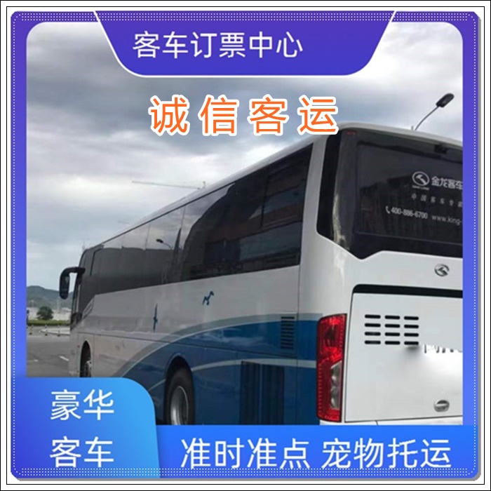 漯河到潍坊的长途客车班次<汽车时刻表>