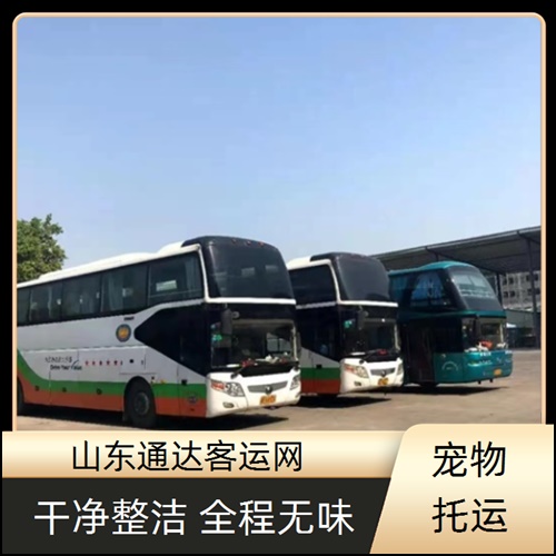 全程高速/烟台到苍南的长途客车乘车咨询班次查询表（路线+票价/随车电话）