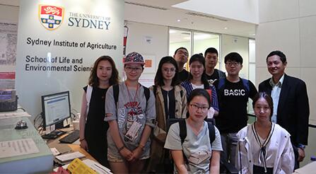 南京管理严格的DSE数学科2025年政策+2026年+排+名+一+览！