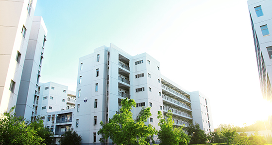 南京市的DSE评分等级分数要求+2026年+排+名+一+览！