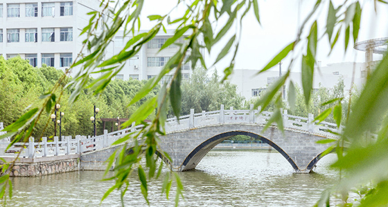 南京比较好的国际ossd课程收费情况+2026年+排+名+一+览！