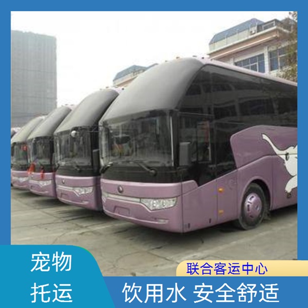 宁波到巨野的长途客车线路（随时咨询）