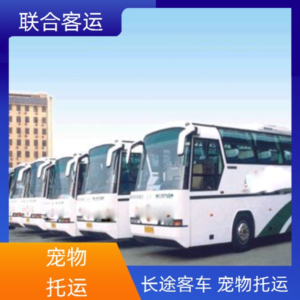 广州至冠县的客车票多少钱（路线+票价/旅游包车拼车 wifi）