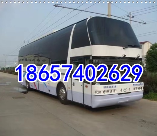 余姚到西峡的长途客车电话2026（票价查询）