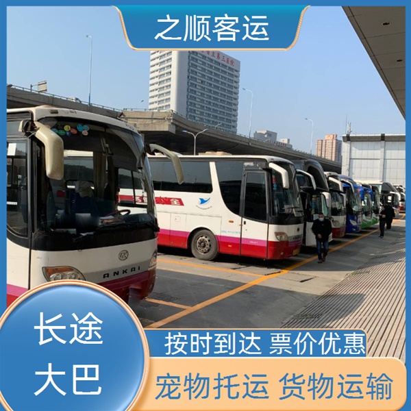 临西到泰兴大巴汽车价格查询+2026最新+宠物托运