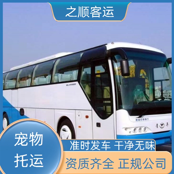 台前到金坛直达汽车班次+2026最新+宠物托运