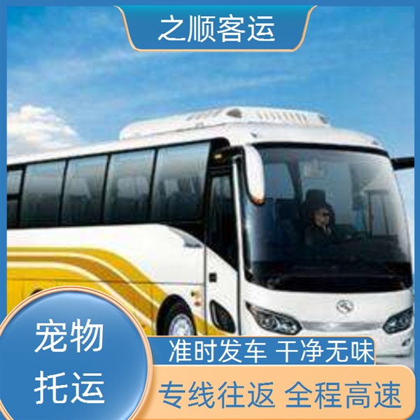 文登到扬中长途汽车多久到价格多少+2026最新+宠物托运