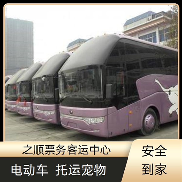 青州到椒江客车大巴在线预定+2026最新+宠物托运