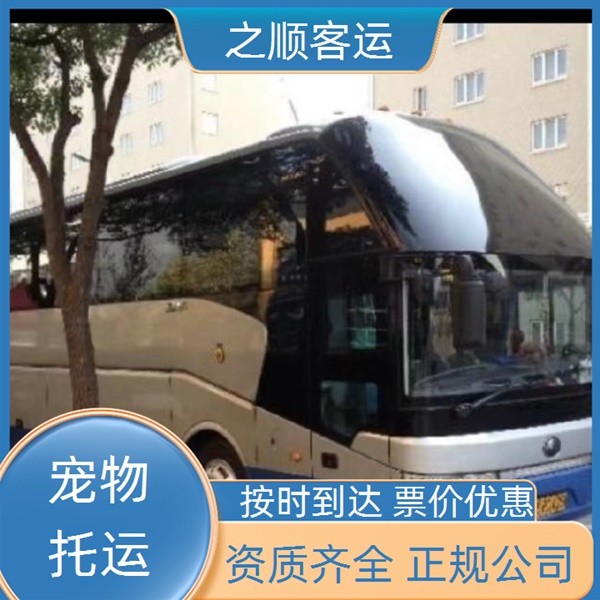 魏县到余杭长途客车多久到达+2026最新+宠物托运