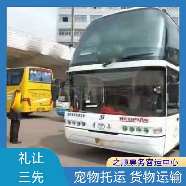 大名到松阳大巴新时刻表今日还有吗+2026最新+宠物托运