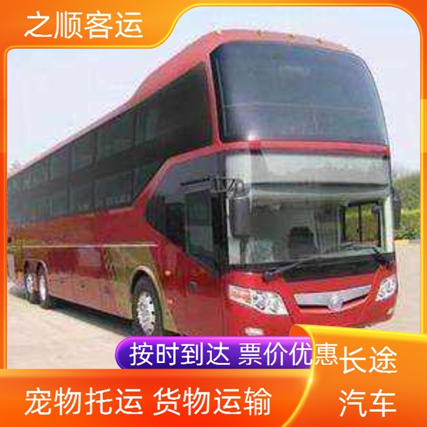 东明到从化长途客车方便快捷+2026最新+宠物托运