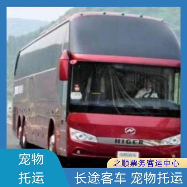 范县到宜兴大巴咨询要多久+2026最新+宠物托运