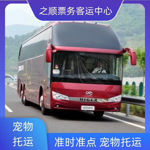 黄岛到慈溪客车多少钱有没有直达车+2026最新+宠物托运