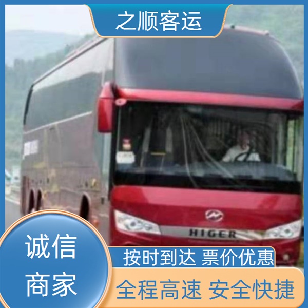 淇县到新昌大巴车咨询价格+2026最新+宠物托运