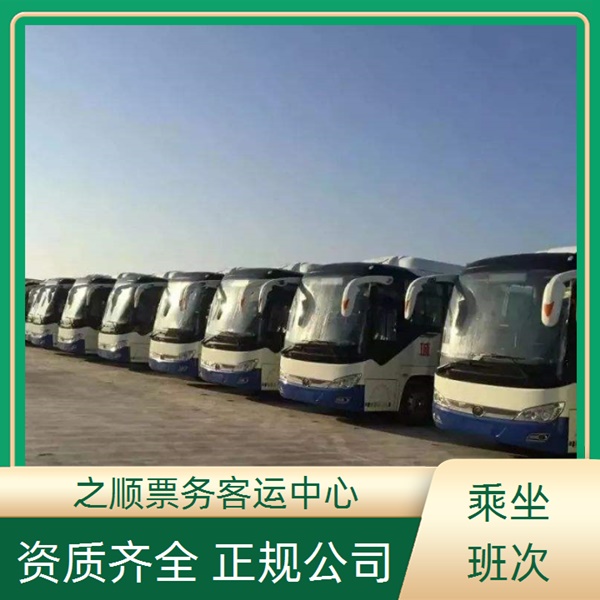 滨州到三门长途直达汽车票价多少钱+2026最新+宠物托运