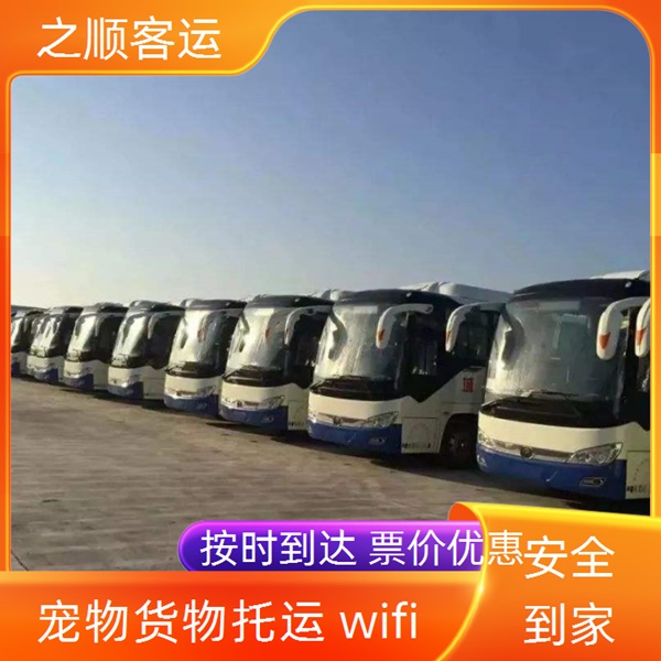 胶南到太仓长途大巴班次查询+2026最新+宠物托运