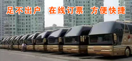 菏泽到平湖汽车票查询表(订票+票价/乘车指南)