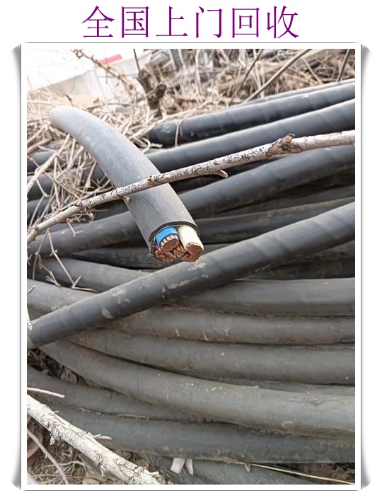 邵阳自动扶梯回收公司2026<现场结算>