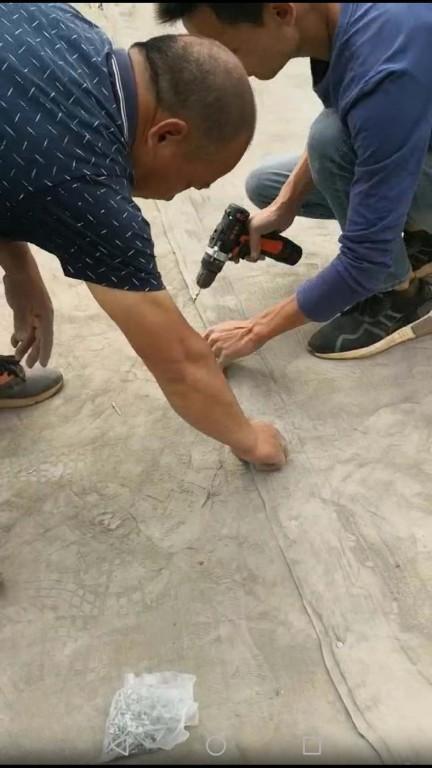 广西崇左生态袋厂家-制造商<2026价格一览>