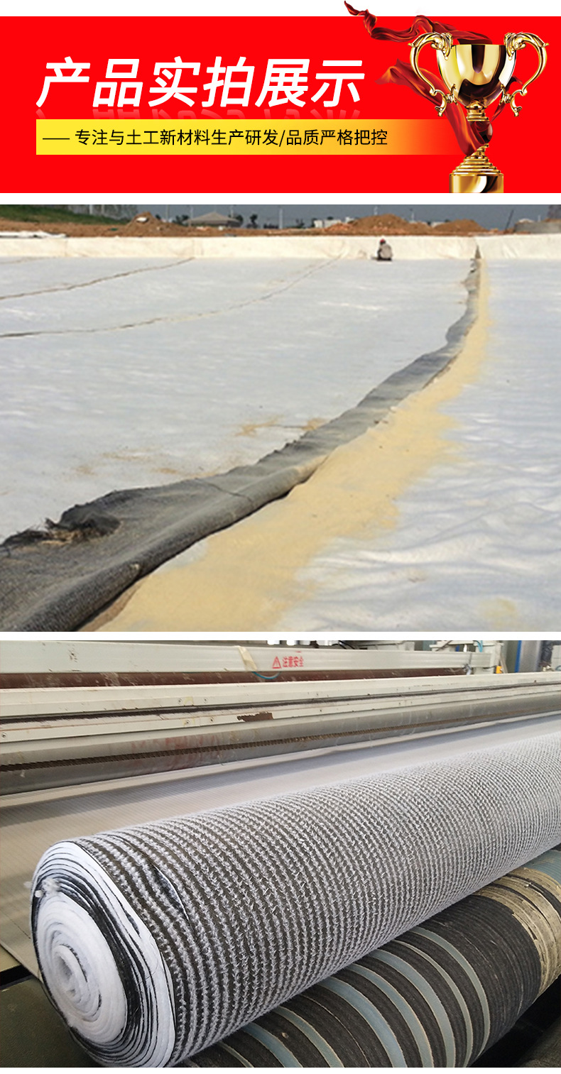 四川内江玻纤土工格栅厂家（图示）<2026价格一览>