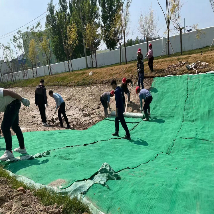 四川宜宾土工格室厂家（图示）<2026价格一览>