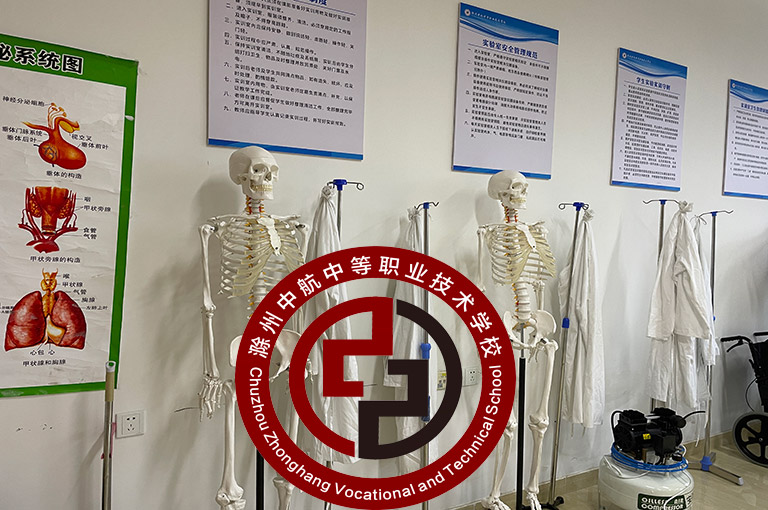 南京鼓楼区的职校艺体升学班有哪些专业>家长请查收