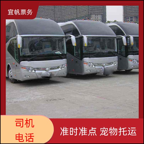 华阴到海盐汽车大巴车客运专线+宠物托运