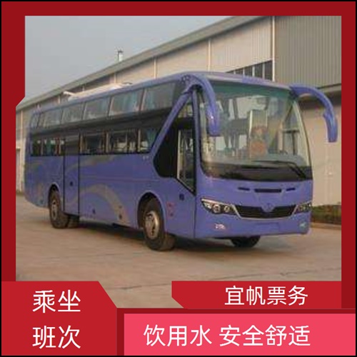 灵宝到霞浦大巴客车明日有车吗+宠物托运