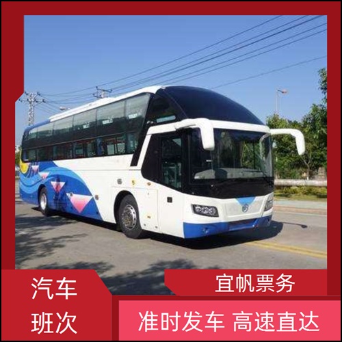 灵宝到三明直达客车需要多少钱+宠物托运
