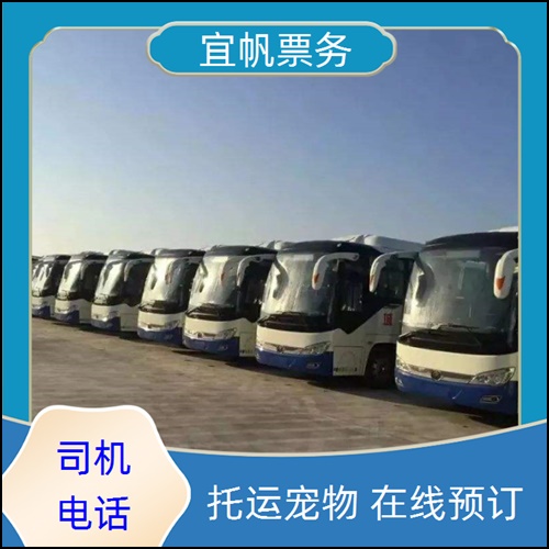 宝鸡到淳安豪华大巴车多长时间+宠物托运
