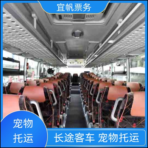 潼关到海安大巴客车豪华班次+宠物托运