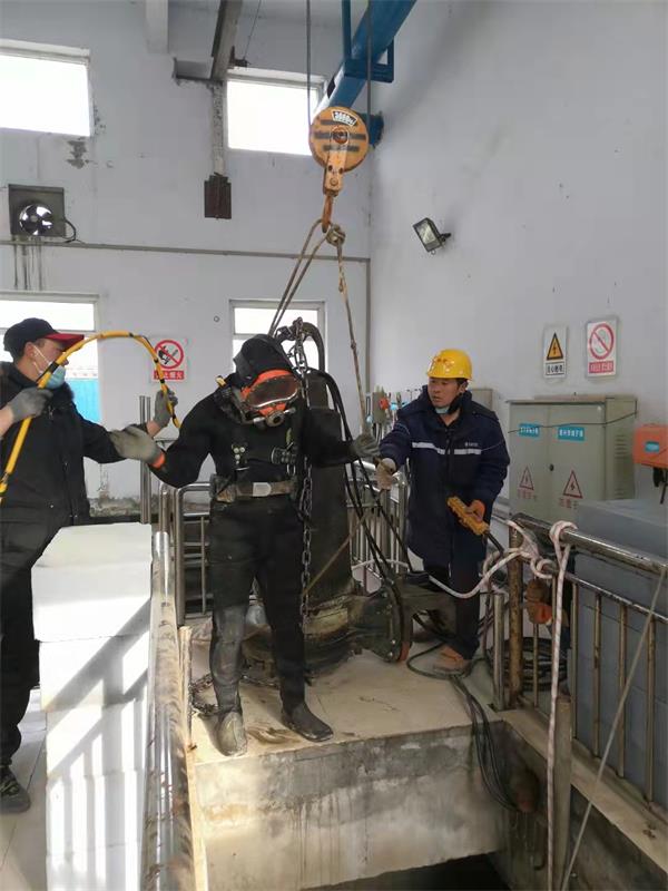 湖州市蛙人打捞队2026〈专业水下施工〉