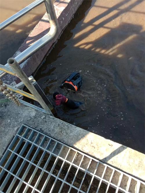 聊城市水下作业公司2026〈水下检查探摸〉