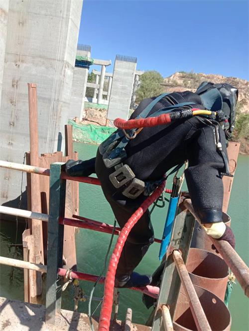 南京市潜水员作业公司2026〈潜水服务施工〉