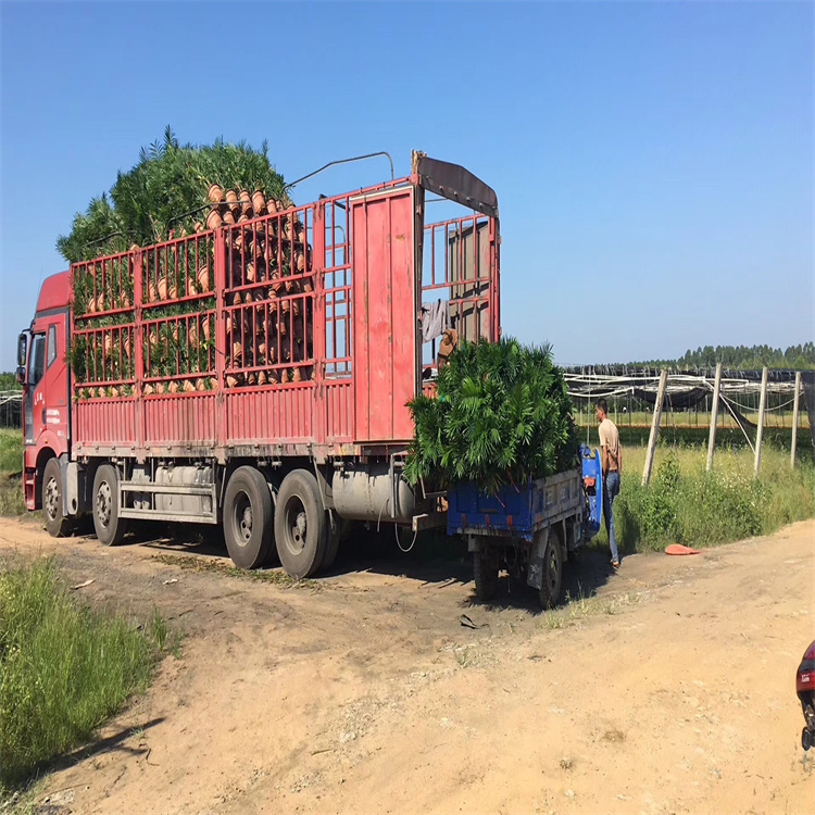 廊坊到连云港物流货运-全境免费取件2026一览