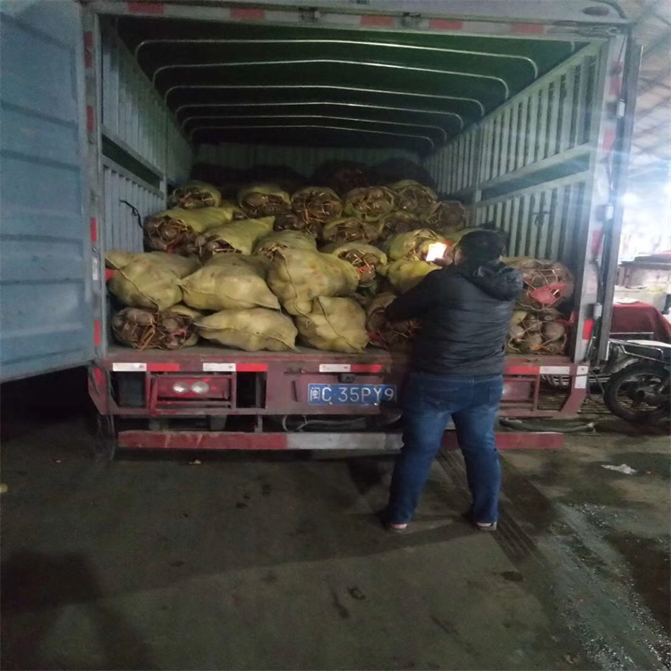 霸州到石家庄物流货运-专线直达2026一览