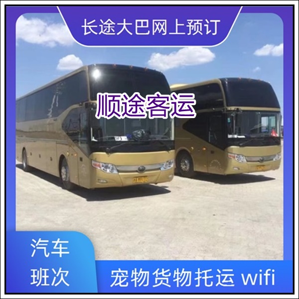 沭阳到肇庆长途汽车班次查询表（的大巴车+票价/乘车指南）2026专线往返 全程高速