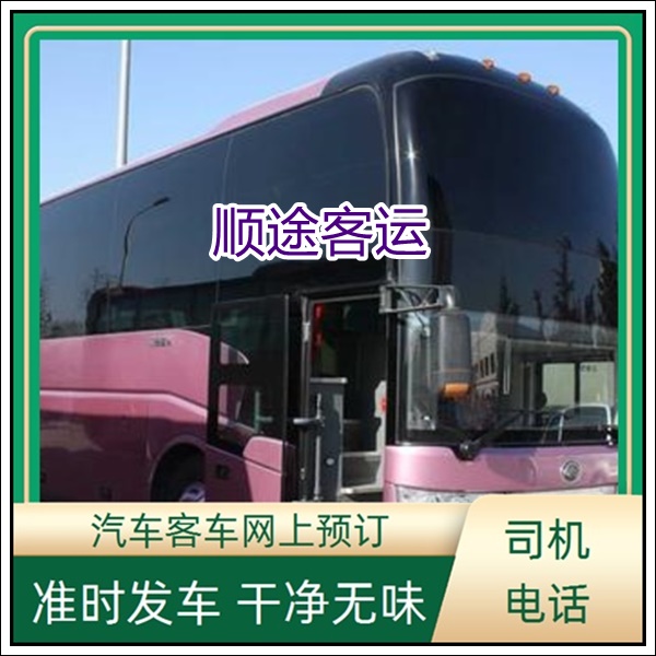 射阳到云浮长途汽车班次查询表（客车大巴+票价/乘车指南）2026准时准点 宠物托运