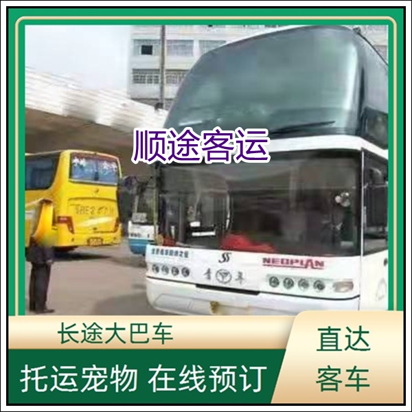 如东到深圳长途汽车班次查询表（电话+票价/乘车指南）2026不超载不超员 wifi