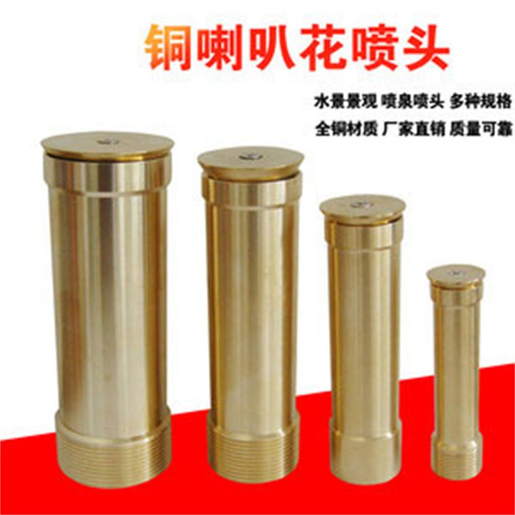 内蒙古巴彦淖尔水景喷泉设计