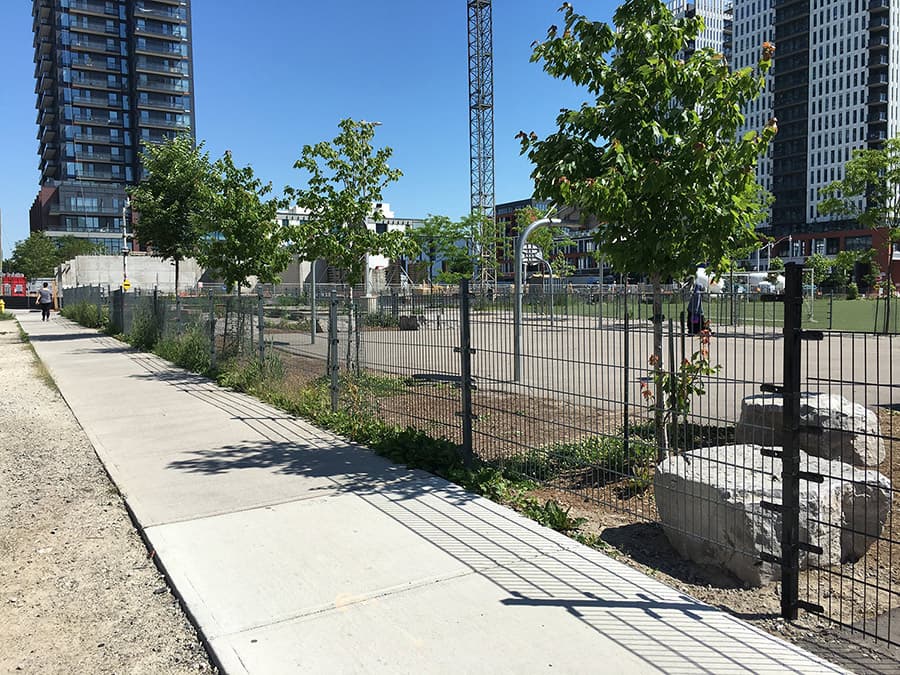 河北沧州孟村公路防护网多少钱河北金标厂家供货