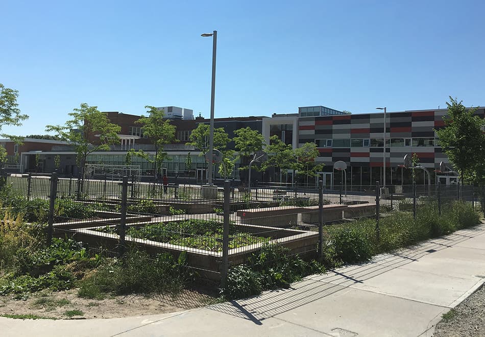 浙江绍兴越城区金属隔离栅多少钱河北金标厂家供货